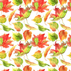 Fototapeta premium Hand drawing watercolor yellow autumn birch leaves pattern