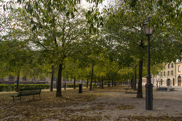 The alley between trees in the park