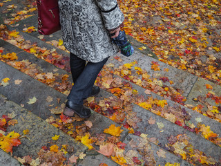 A woman walks through the autumn leaves on the stairs.
