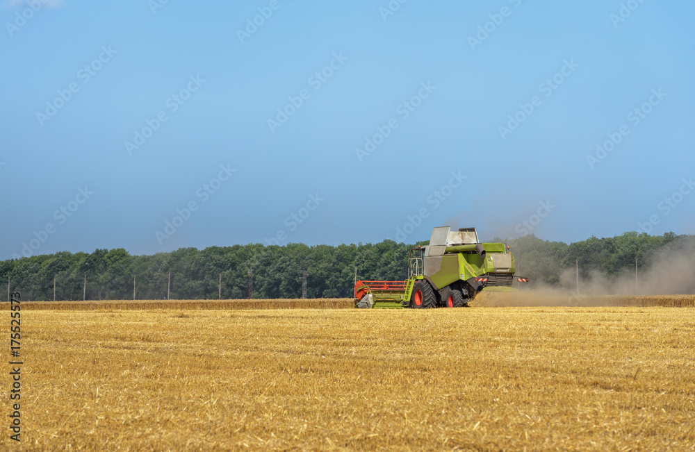 Aufkleber combine harvester in action on wheat field.