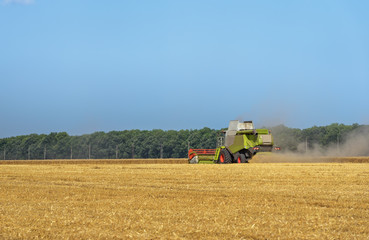 Combine harvester in action on wheat field.