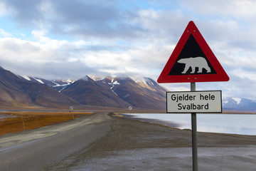 Polar bear warning sign in Svalbard, scenic arctic lansdscape. Beautiful clean nature, mountains, lake and road - obrazy, fototapety, plakaty