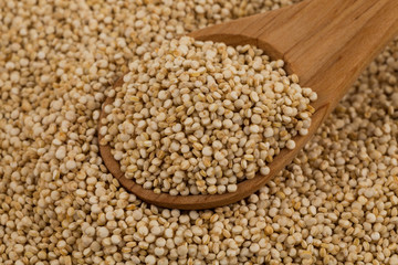 Quinoa seeds close up