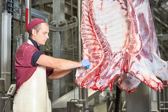 meat manufacturing factory. butcher cutting beef carcass