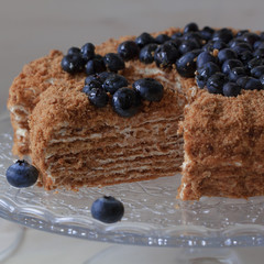 Homemade honey cake on a light wooden background