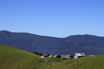 Fototapeta na wymiar Many houses of shepherds is situated at the foot of the mountain in the pasture, Carpathians