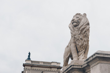 Fototapeta na wymiar Lion on Chain Bridge on the Danube River in Budapest, Hungary