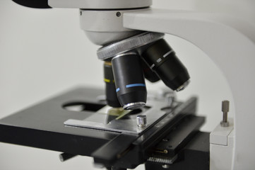 microscope