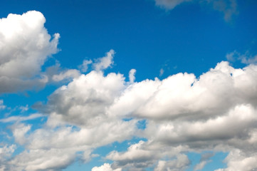 Fototapeta premium White cumulus fluffy clouds