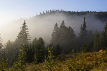 Fog in the mountains among the evergreen trees in the early morning background