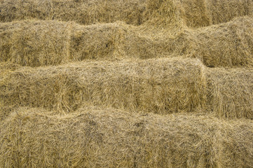 Stocks of rough forages 2