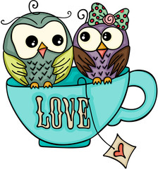 Couple owls on top of love tea cup
