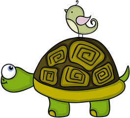 Cute turtle with bird