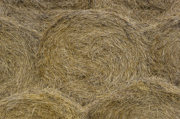 Stocks of rough forages 4