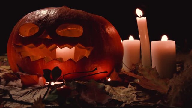 All Saints' Day, Thanksgiving, Halloween, Harvest Festival.One large pumpkin with terrible face lies in the autumn maple leaves. the fire of the candles flickers. The candle burns inside the pumpkin.