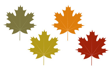 Set of clip art autumn leaves, vector