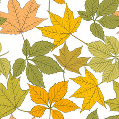 Hand drawn vector seamless maple leaves pattern