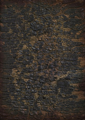 Old cracked bark texture.