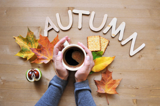 Fototapeta autumn mood composition background