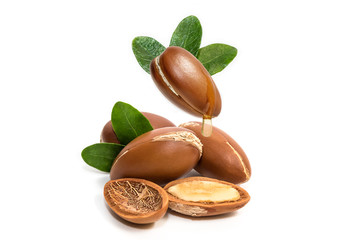 Argan oil. Argan nuts, with oil drop and leaves of its tree