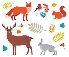 Forest animals and plants set: fox, deer, wolf, hare, squirrel, bullfinch on rowan branch and autumn leaves isolated on white background. Colorful vector illustration of wild animals