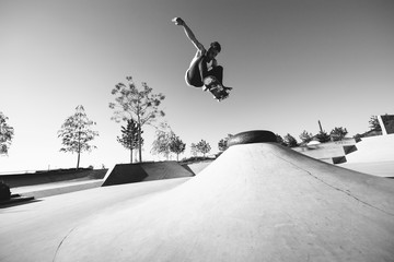 Skateboard ollie transfer in Skatepark