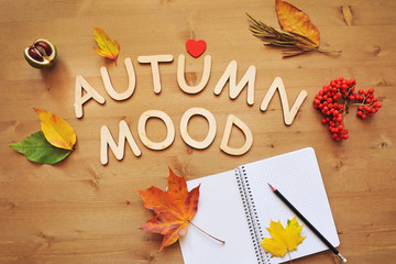 autumn mood composition background