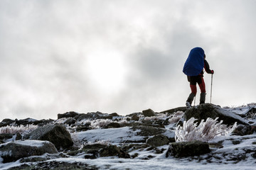 True Hiker in the Sarek wilderness in Sweden