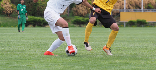 Fototapeta premium サッカー フットボール