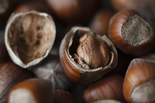 Hazelnuts (close-up)