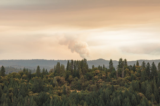 California wilderness scenery with wildfire burning in the distance