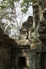 Naklejka premium Angkor Wat