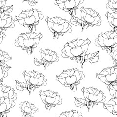 Seamless pattern with liner black roses on white. Vector illustration