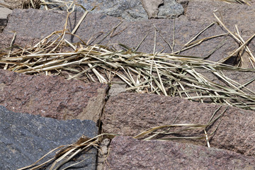 old stone steps