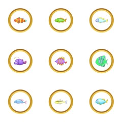 Marine fish icons set, cartoon style
