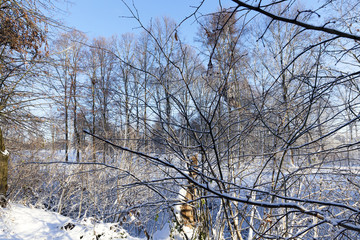 snow covered trees in the park in winter
