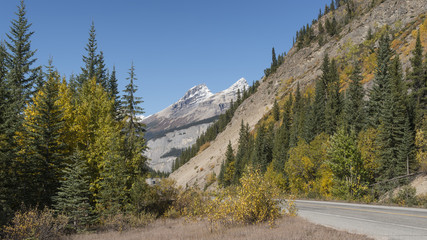 A fall mountain scene along the Icefields Parkway in Jasper National Park in Alberta, Canada