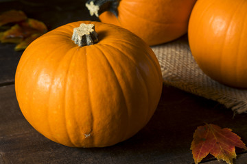 Raw Orange Organic Pie Pumpkins