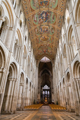 Fototapeta premium cathedral roof and nave