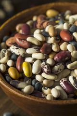 Heap of Assorted Mixed Organic Dry Beans