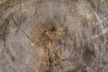 Fototapeta premium Old wood background.