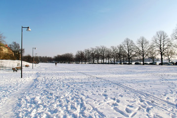 Skiing in the park
