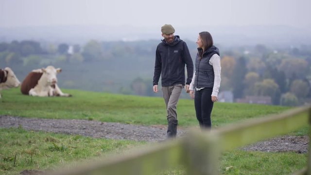  Farming couple walking in the field & checking on herd of cattle