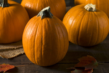 Raw Orange Organic Pie Pumpkins