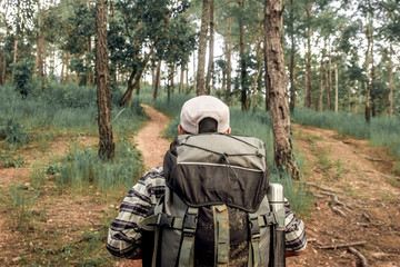 Naklejka premium Hiker man is walking in the autumn forest on a sunny day