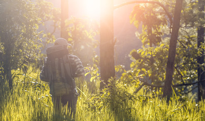Young hiker with backpack is walking in the autumn forest on a sunny day