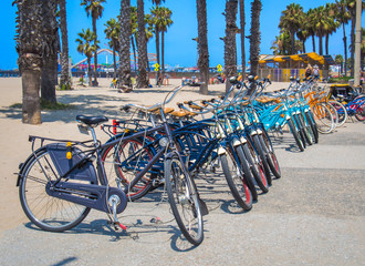 A row of bikes parked near Palm Beach, CA