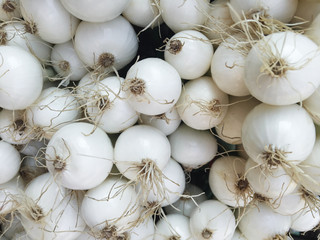 White Onions at the Farmer's Market
