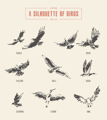 Silhouettes birds eagle owl drawn vector sketch