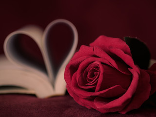 Retro style for red rose with  pages of a book curved into a heart shape. Love and Valentine's day concept.